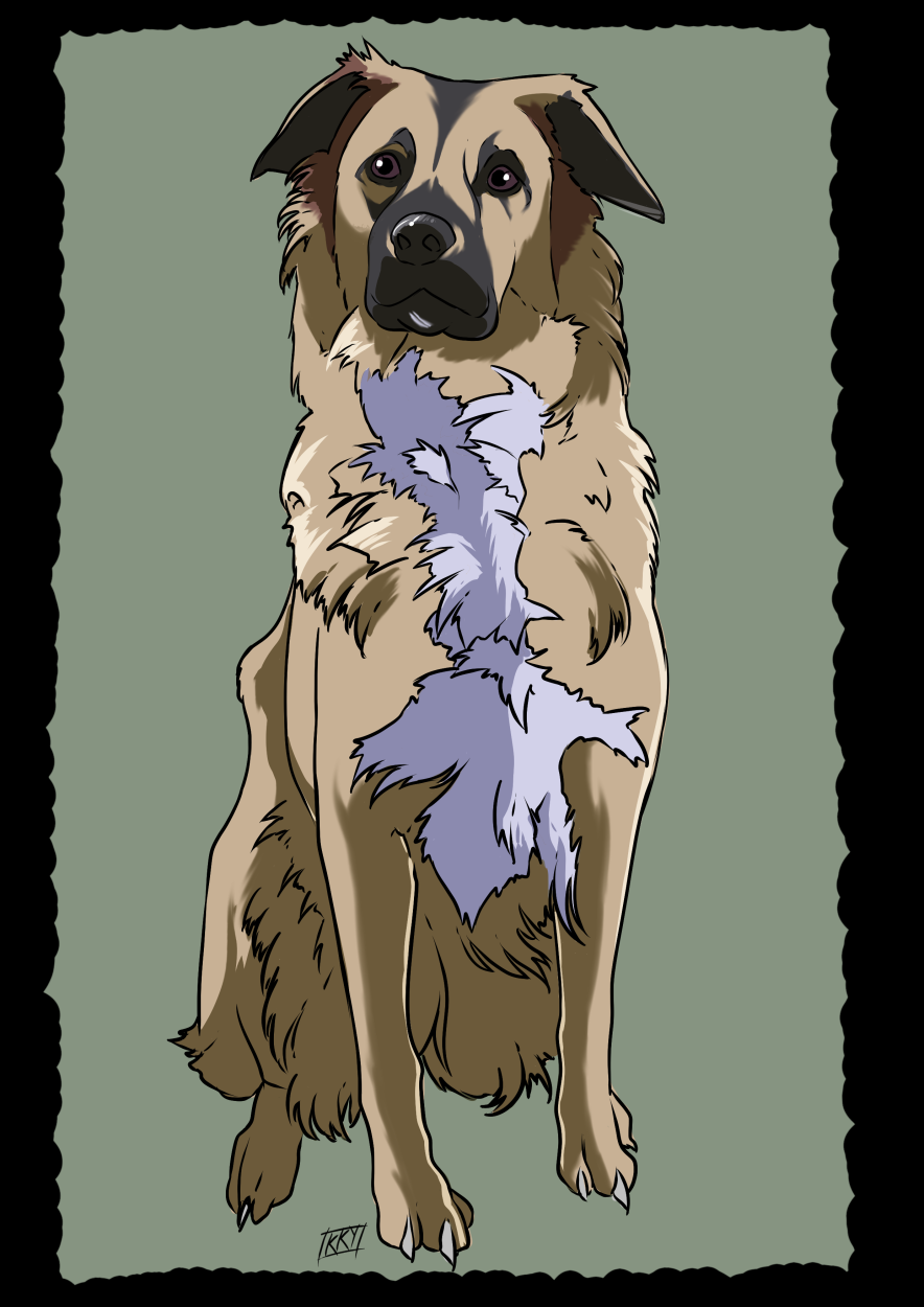 dog 2